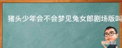 猪头少年会不会梦见兔女郎剧场版叫什么名字?