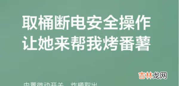 薇娅推荐的空气炸锅是哪一款?