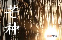 2023年芒种农历哪一天,今年阴历几月芒种