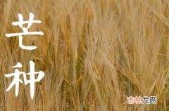 2023年芒种节气在阳历的几月