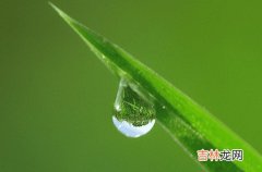 浙江入梅标准是什么 2023浙江杭州什么时候出梅