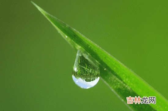 浙江入梅标准是什么 2023浙江杭州什么时候出梅