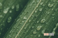 2023安徽梅雨季节是什么时间 2023安徽入梅出梅最新时间