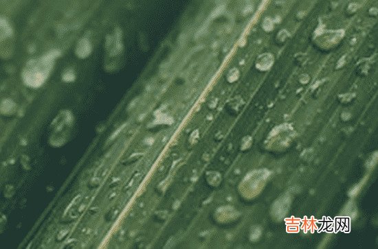 2023安徽梅雨季节是什么时间 2023安徽入梅出梅最新时间