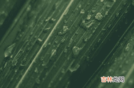 2023年梅雨季节是哪几天