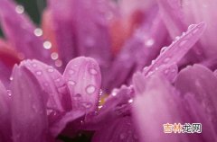 梅雨季节是什么时间2023 今年梅雨是什么时候