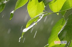 2023年梅雨季节几号到几号