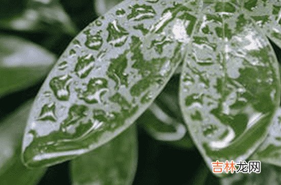 2023年黄梅天雨水多吗