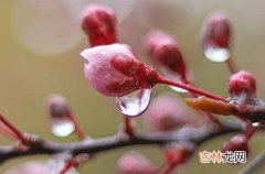 2023江苏梅雨季节 2023年江苏什么时候入梅