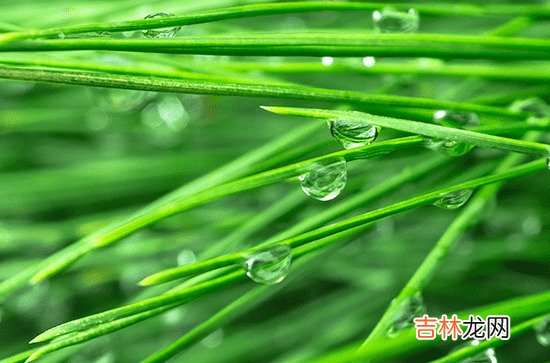 2023年梅雨季节是什么时候 2023上海入梅时间最新