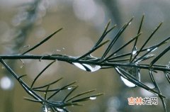 2023年梅雨季节是什么时候 2023江苏入梅时间最新