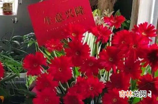 精选600个 什么店名有简洁好听又招财