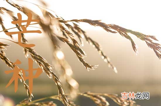 2023年的芒种是哪一天,2023年芒种属于几月
