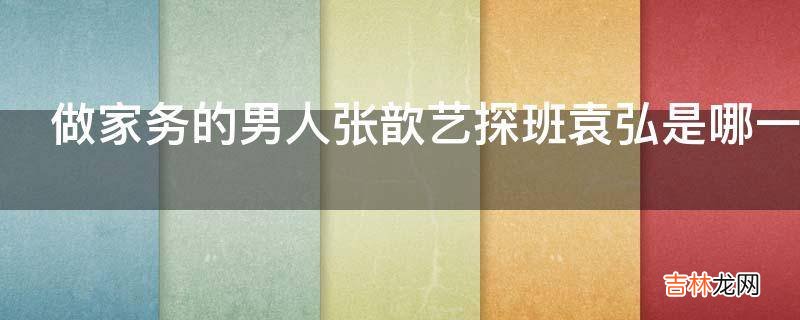 做家务的男人张歆艺探班袁弘是哪一期?