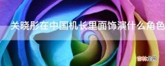 关晓彤在中国机长里面饰演什么角色?