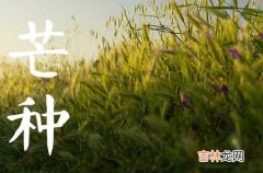 2023芒种是几月几号开始的