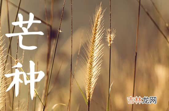 今年芒种是几月几日2023