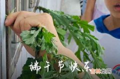 2023送下属的端午节祝愿语