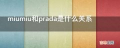 miumiu和prada是什么关系?