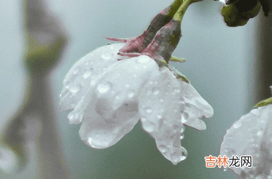 2023年端午下雨好还是不下雨好 2023端午节哪几天是法定节假日