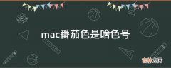 mac番茄色是啥色号?