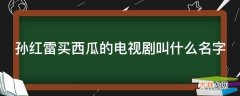 孙红雷买西瓜的电视剧叫什么名字?