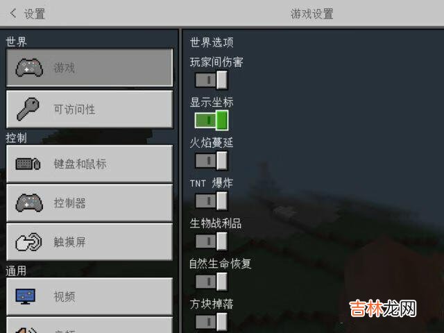我的世界怎么开坐标（我的世界如何调坐标)