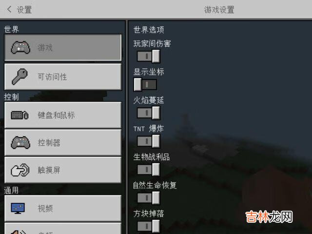 我的世界怎么开坐标（我的世界如何调坐标)