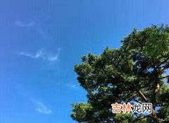 地铁怎么买票流程图解重庆版 重庆轻轨购票流程