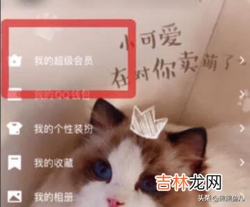 手机qq怎么克隆好友(qq克隆好友需要超级会员吗)