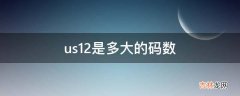 us12是多大的码数?