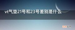 vt气垫21号和23号差别是什么?