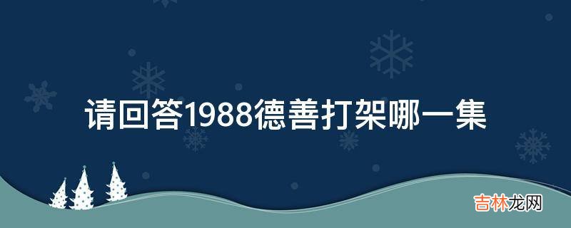 请回答1988德善打架哪一集?