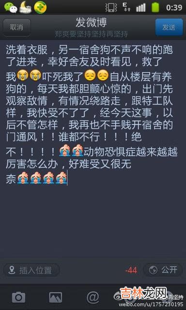 手机怎么写长微博(手机怎么发新浪长微博)