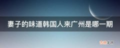 妻子的味道韩国人来广州是哪一期?