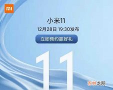 小米11和华为p40哪个值得买_小米11和华为p40参数性能对比