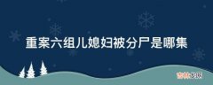 重案六组儿媳妇被分尸是哪集?