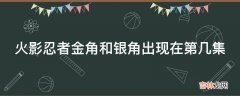 火影忍者金角和银角出现在第几集?