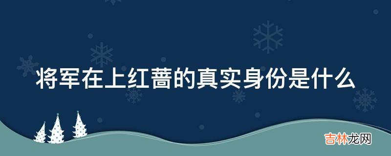 将军在上红蔷的真实身份是什么?