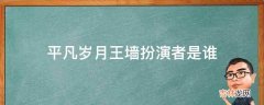 平凡岁月王墙扮演者是谁?