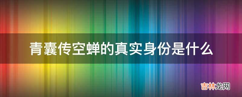 青囊传空蝉的真实身份是什么?