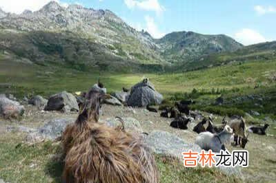 奥杜尔老一单刷 奥迪尔老一攻略