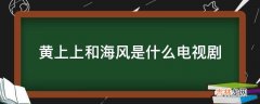 黄上上和海风是什么电视剧?