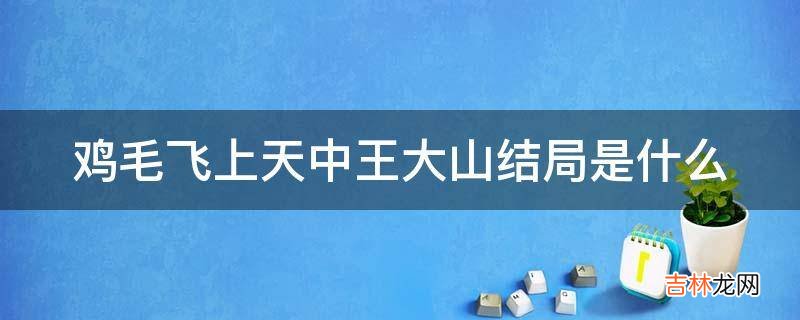 鸡毛飞上天中王大山结局是什么?