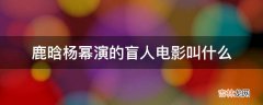 鹿晗杨幂演的盲人电影叫什么?