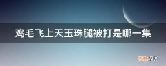 鸡毛飞上天玉珠腿被打是哪一集?