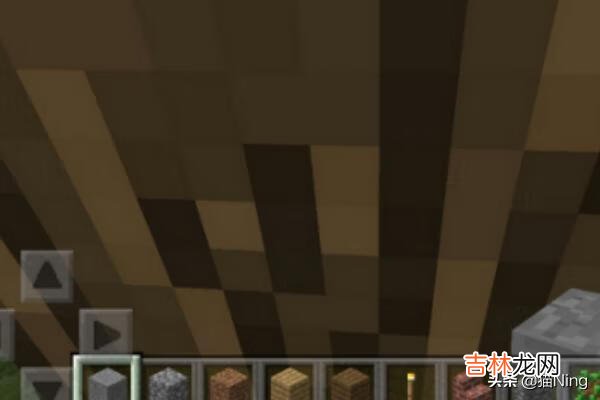 我的世界手机版怎么飞起来(我的世界疾风戒指为什么飞不起来)