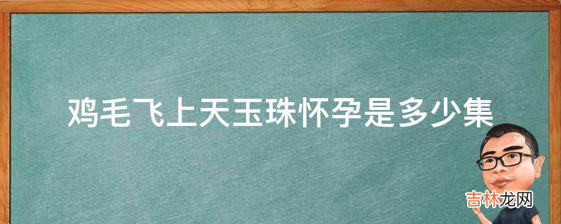 鸡毛飞上天玉珠怀孕是多少集?