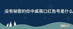 没有秘密的你中戚薇口红色号是什么?