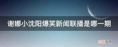 谢娜小沈阳爆笑新闻联播是哪一期?